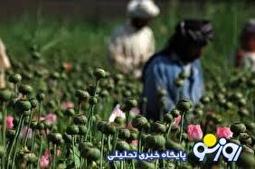 مشکلی به نام تریاک!