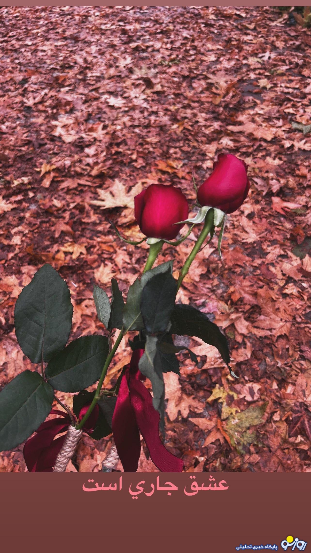 عکس پاییزی فریبا نادری!